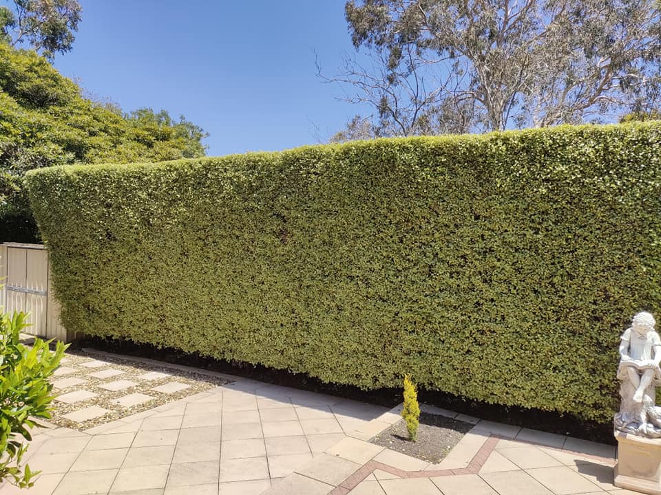 GGL Maintenance completed garden job Mornington Peninsula
